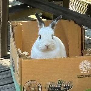 Meet your Posher, Rachel